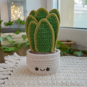 Maotaim potis, sukulent 17cm
