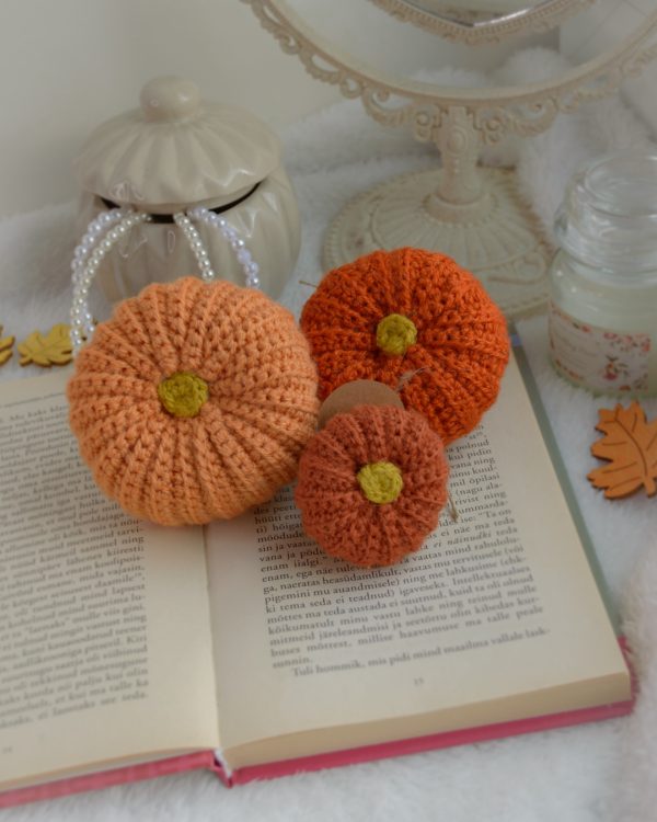 Kõrvitsad 3tk | Komplekt nr 2 - Image 3