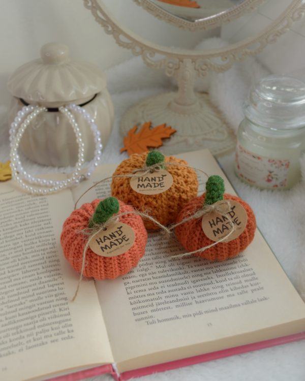 Kõrvitsad 3tk | Komplekt nr 4 - Image 2