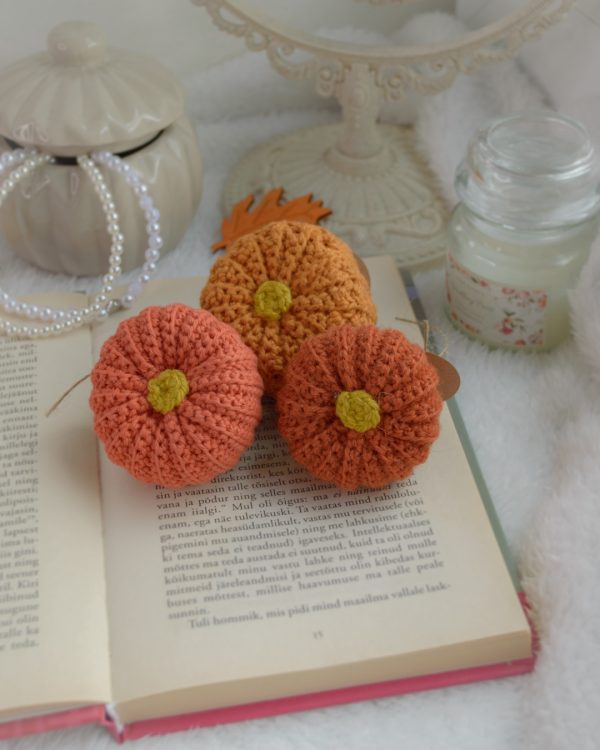 Kõrvitsad 3tk | Komplekt nr 4 - Image 3