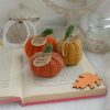 Kõrvitsad 3tk | Komplekt nr 5