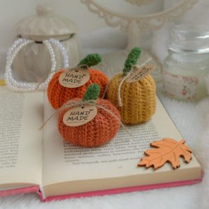 Kõrvitsad 3tk | Komplekt nr 5