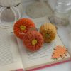 Kõrvitsad 3tk | Komplekt nr 5 - Image 3