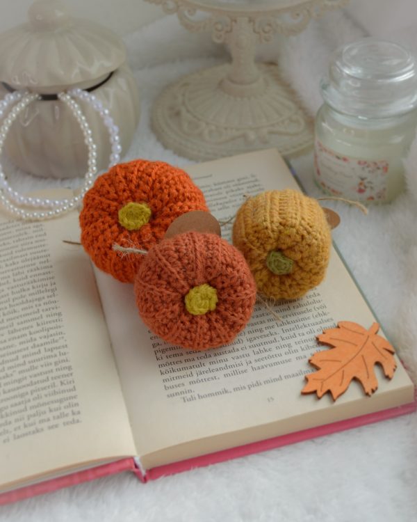 Kõrvitsad 3tk | Komplekt nr 5 - Image 3