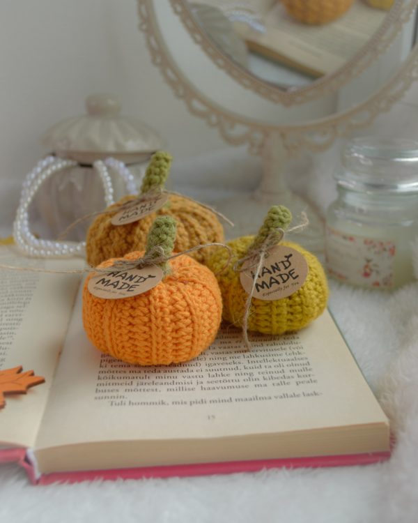 Kõrvitsad 3tk | Komplekt nr 8 - Image 2
