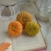Kõrvitsad 3tk | Komplekt nr 8 - Image 3