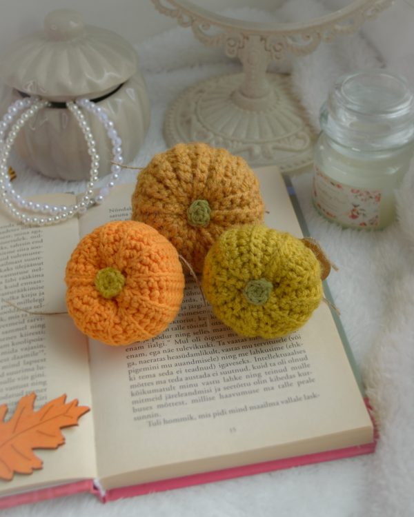Kõrvitsad 3tk | Komplekt nr 8 - Image 3