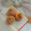 Kõrvitsad 3tk | Komplekt nr 9 - Image 2