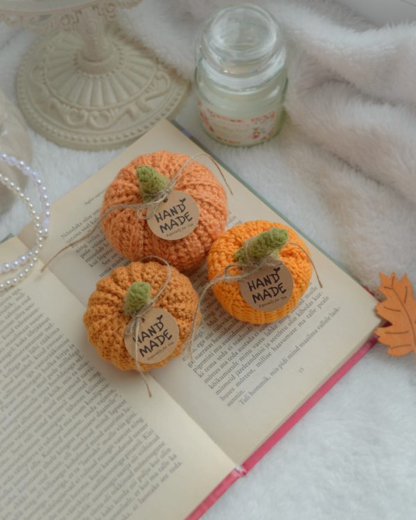 Kõrvitsad 3tk | Komplekt nr 9 - Image 2