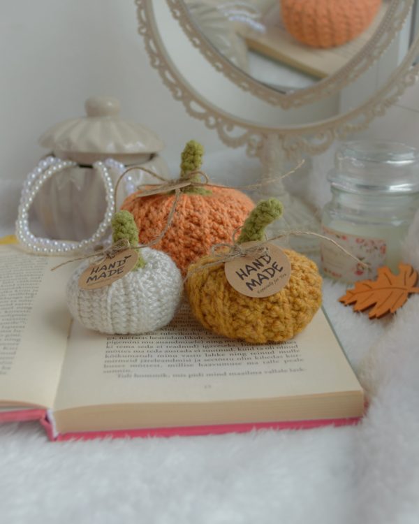 Kõrvitsad 3tk | Komplekt nr 10 - Image 2