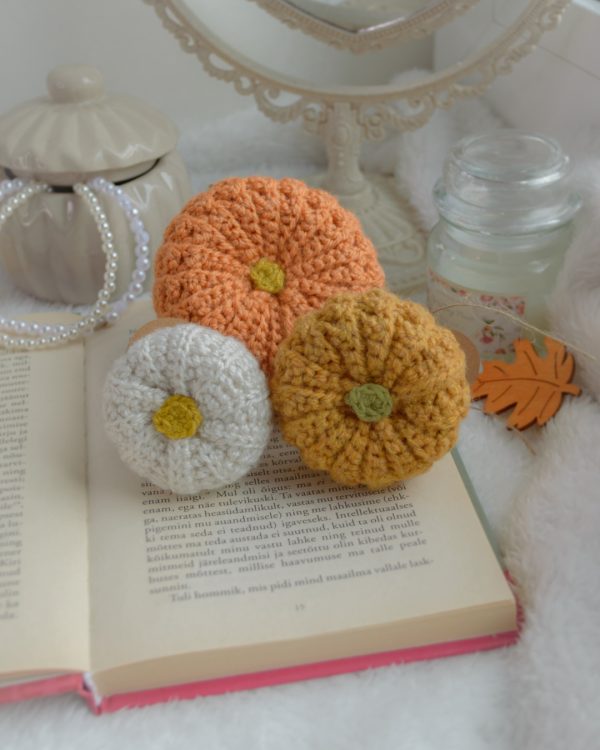 Kõrvitsad 3tk | Komplekt nr 10 - Image 3