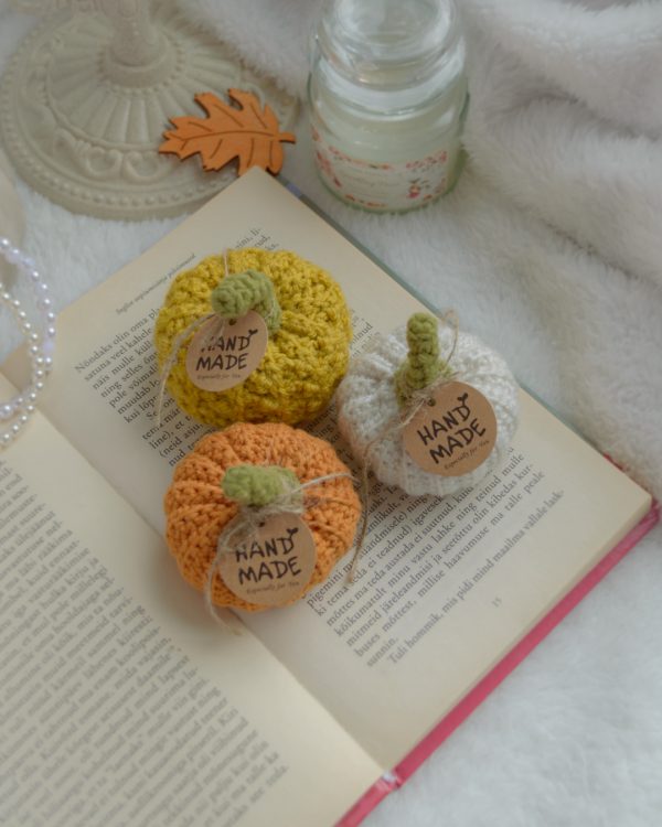 Kõrvitsad 3tk | Komplekt nr 11 - Image 2