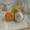 Kõrvitsad 3tk | Komplekt nr 11 - Image 3