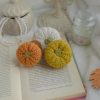 Kõrvitsad 3tk | Komplekt nr 12 - Image 3