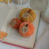 Kõrvitsad 3tk | Komplekt nr 14