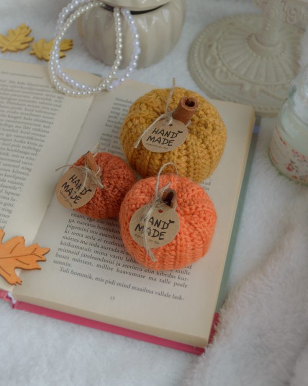 Kõrvitsad 3tk | Komplekt nr 14
