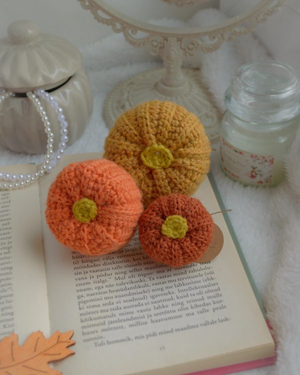 Kõrvitsad 3tk | Komplekt nr 14 - Image 3