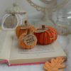 Kõrvitsad 3tk | Komplekt nr 15 - Image 2