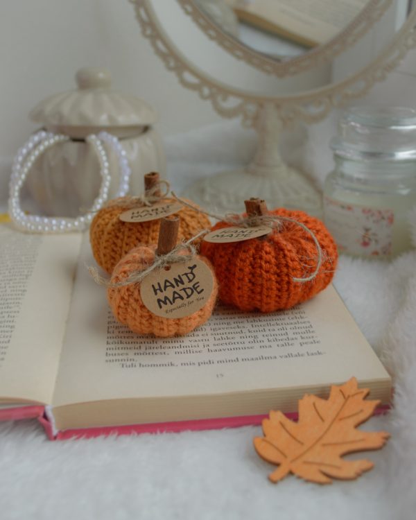 Kõrvitsad 3tk | Komplekt nr 15 - Image 2