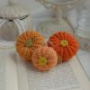 Kõrvitsad 3tk | Komplekt nr 15 - Image 3