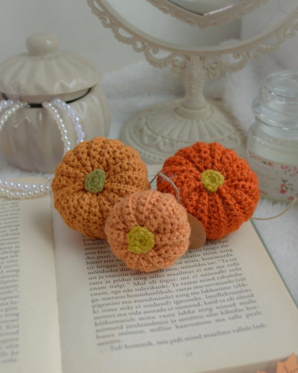 Kõrvitsad 3tk | Komplekt nr 15 - Image 3