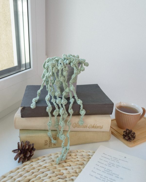 Roheline taim koos potiga, String of Pearls
