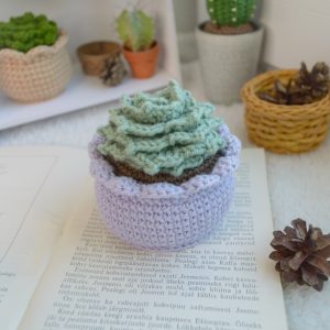 Sukulent lillas potis, soomuslehik 9cm