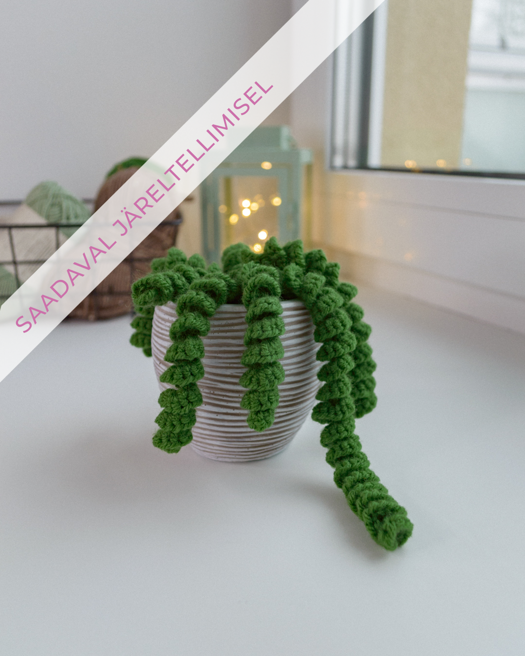Roheline potitaim urusaba / Burro's tail