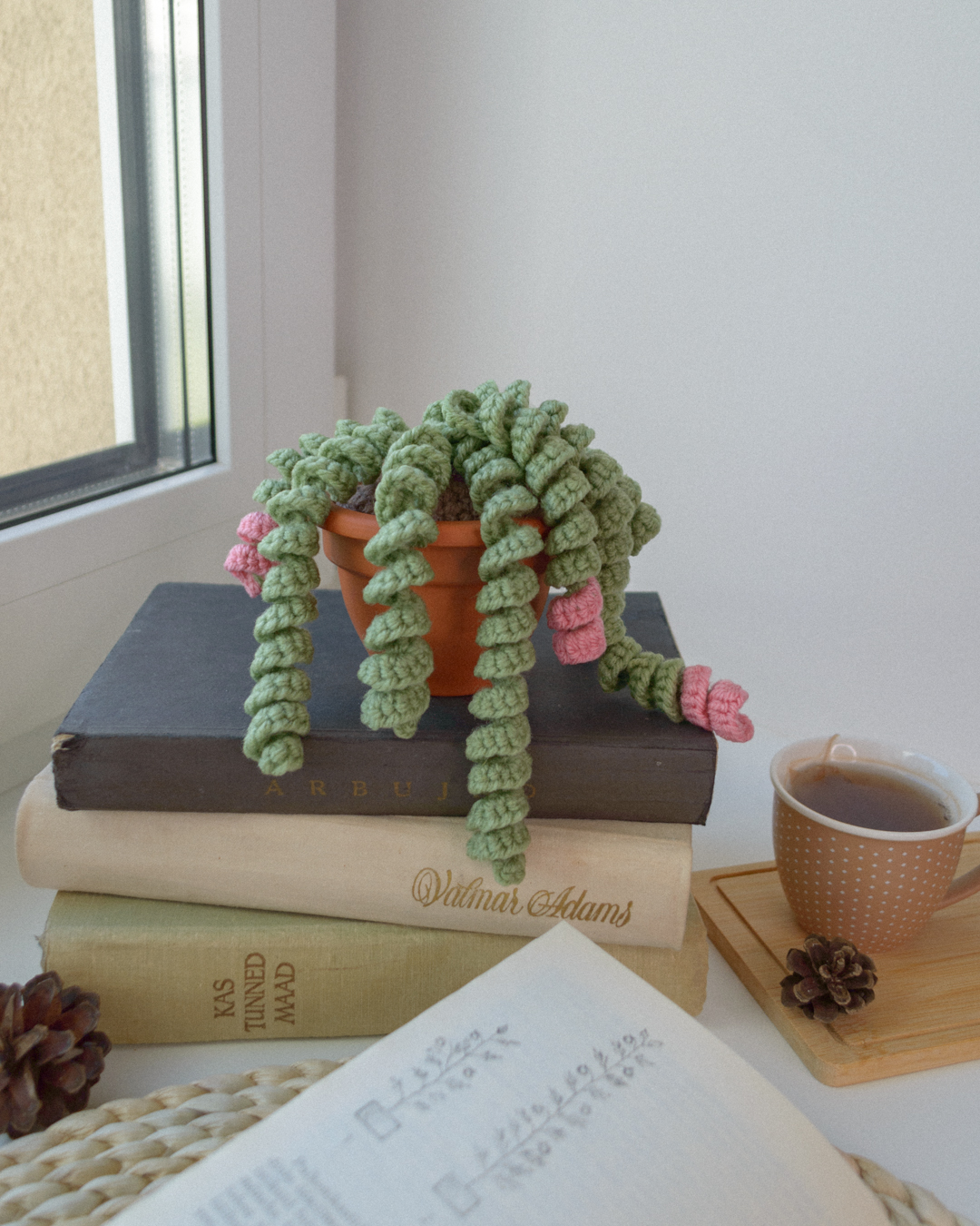 Roheline taim potis, urusaba / Burro's tail 8cm
