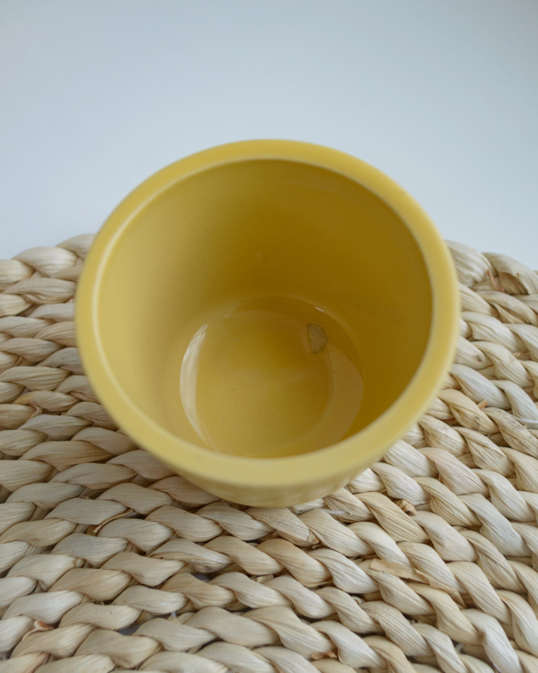 Võõrasemad kollases potis, oranžid - Image 6