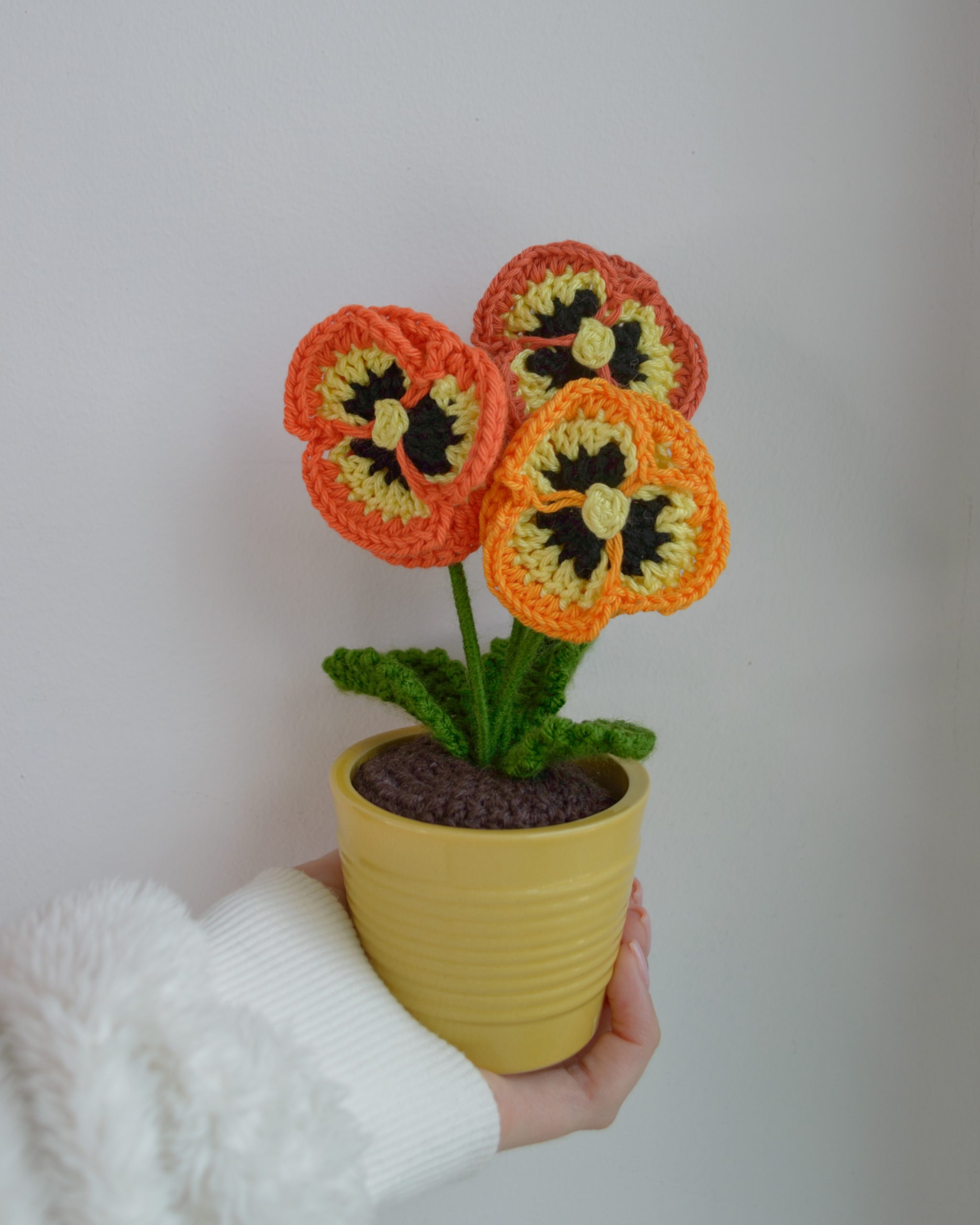 Võõrasemad kollases potis, oranžid - Image 5