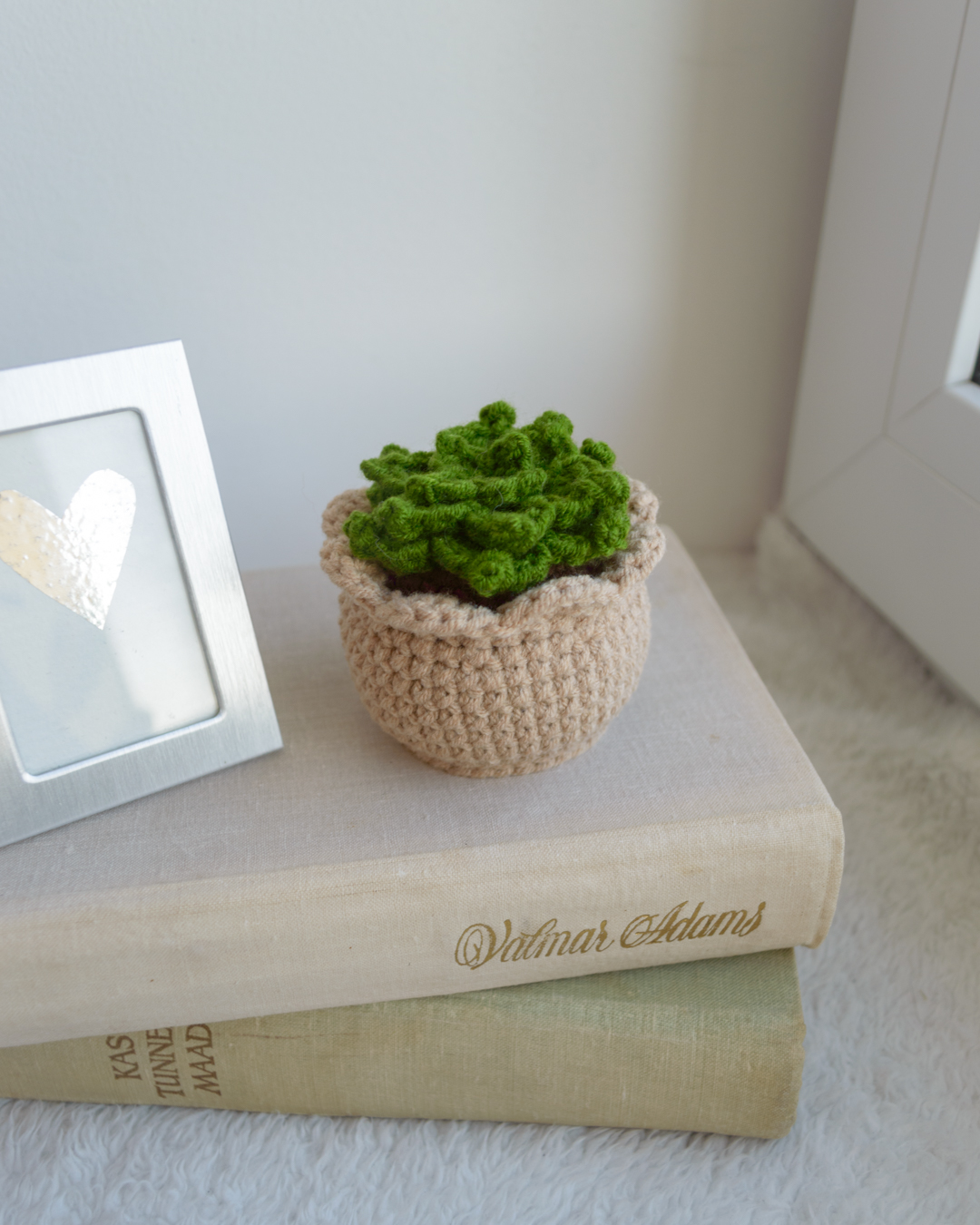 Sukulent heegeldatud helepruunis potis 7cm