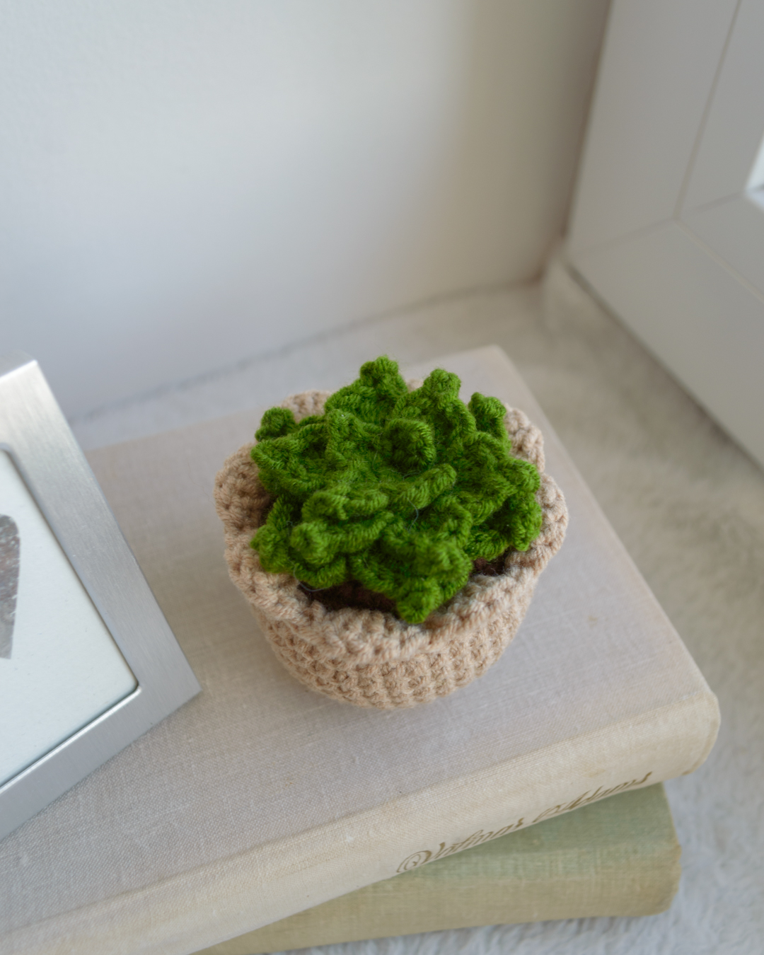 Sukulent heegeldatud helepruunis potis 7cm - Image 2