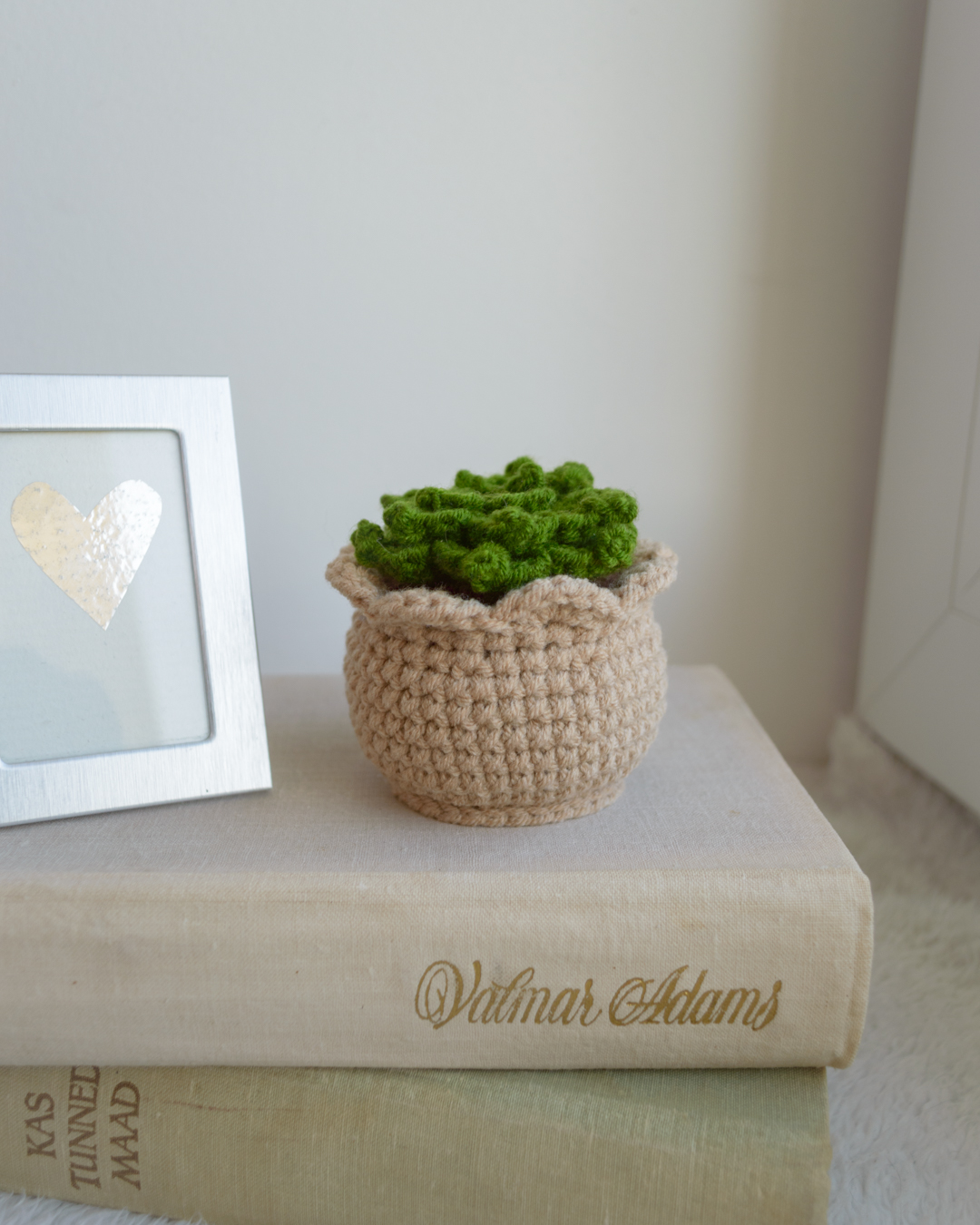 Sukulent heegeldatud helepruunis potis 7cm - Image 3