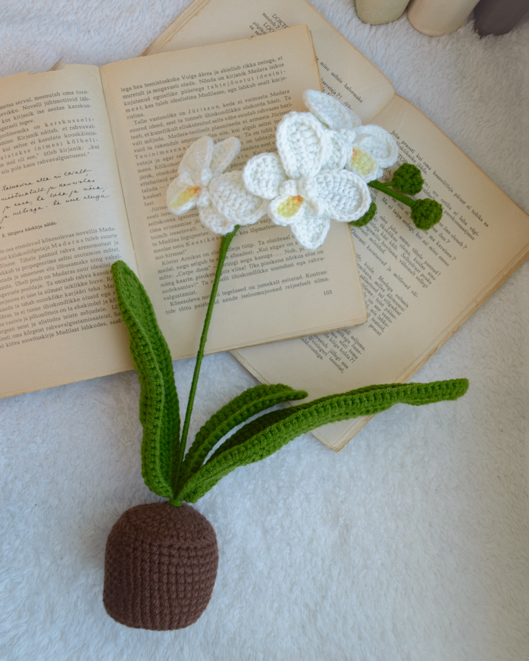 Valge orhidee 33cm - Image 4