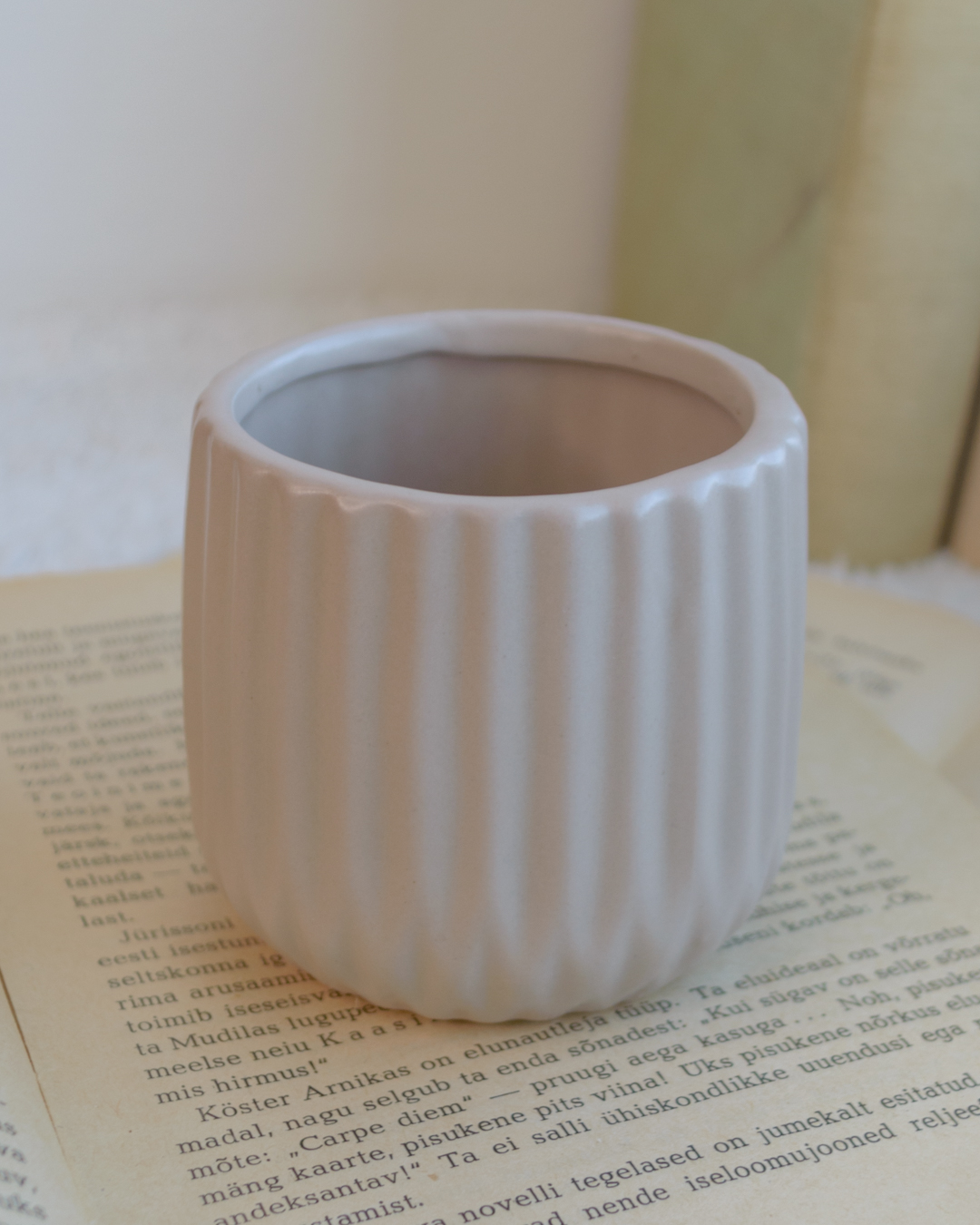 Valge orhidee 33cm - Image 5