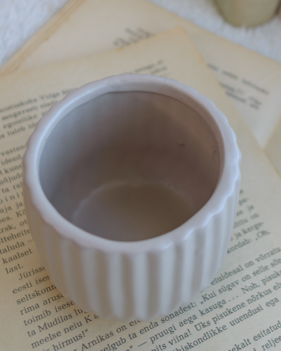 Valge orhidee 33cm - Image 6