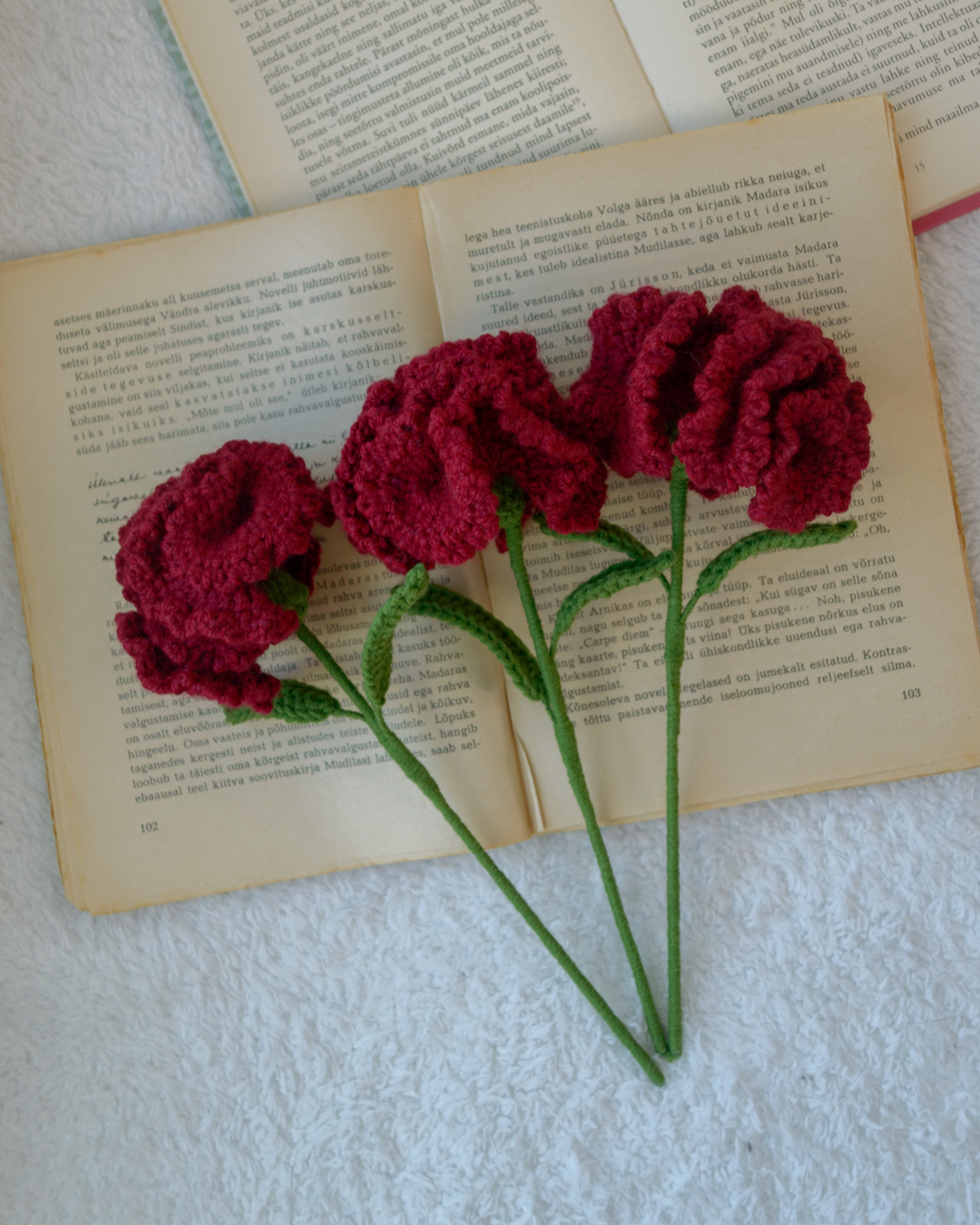 Tumepunased nelgid ja kipslilled (6 oksa) - Image 7