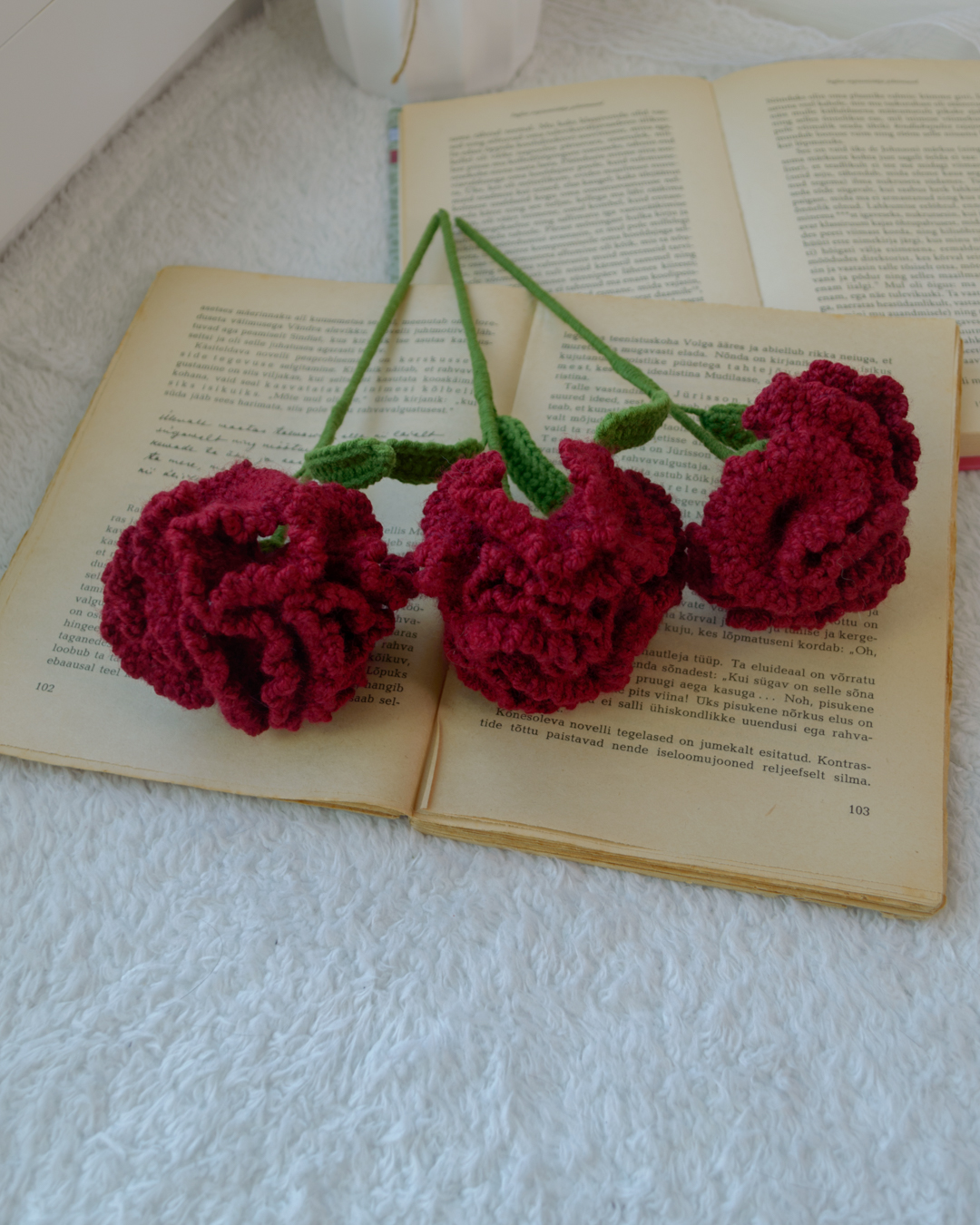 Tumepunased nelgid ja kipslilled (6 oksa) - Image 8