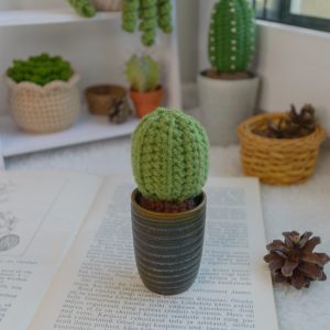 Minikaktus triibulises pitsis 11cm