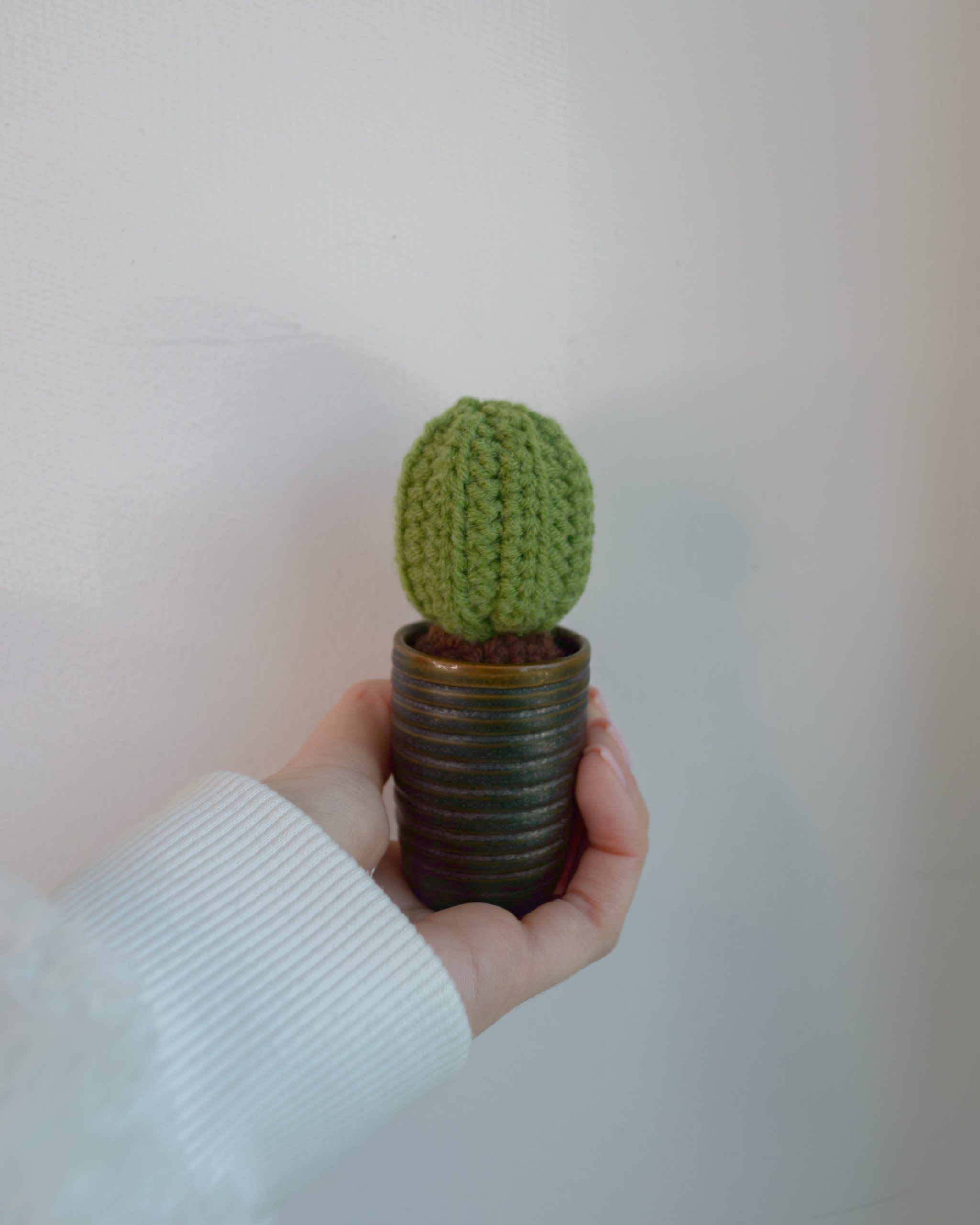 Minikaktus triibulises pitsis 11cm - Image 3