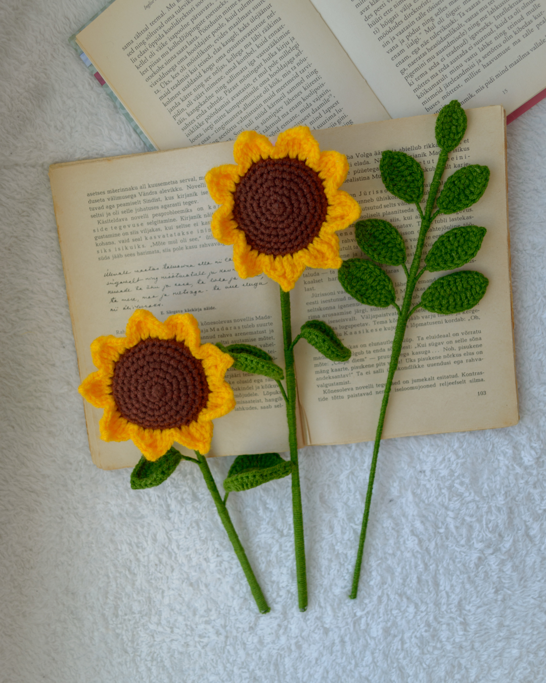 Väikesed päevalilled ja eukalüpti oksad (kokku 7 oksa) - Image 4