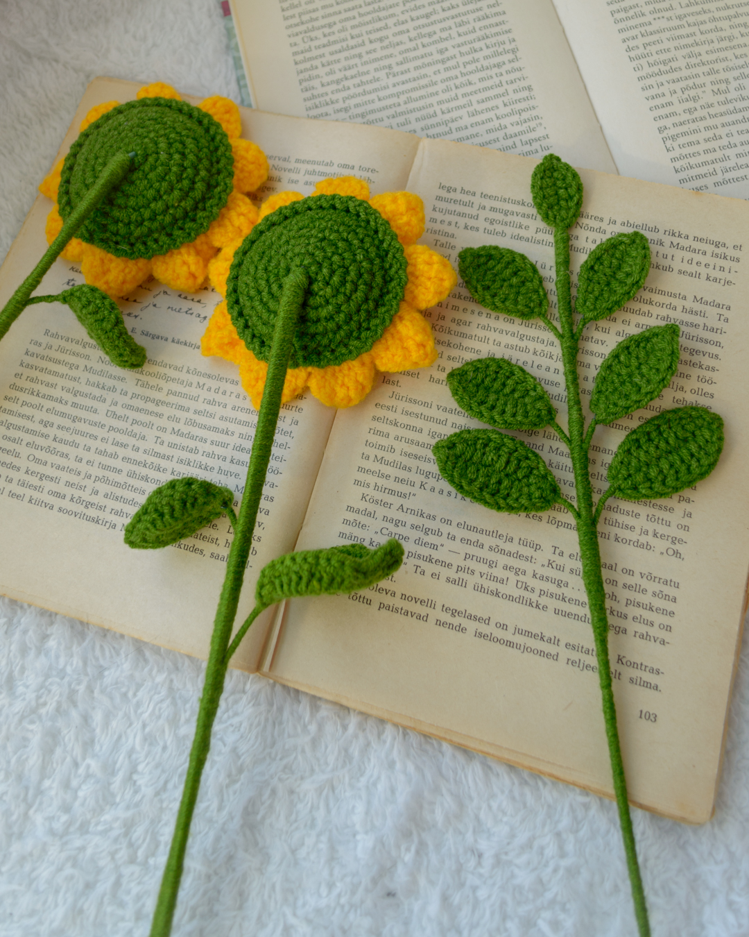 Väikesed päevalilled ja eukalüpti oksad (kokku 7 oksa) - Image 5