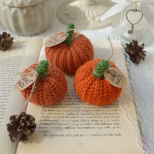 Kõrvitsate komplekt oranžid 3tk | 4