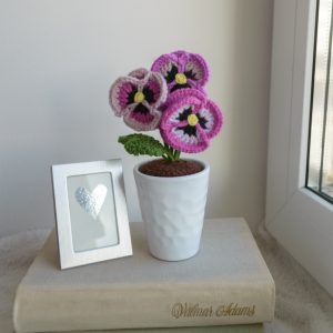 Roosakaslillad võõrasemad valges potis