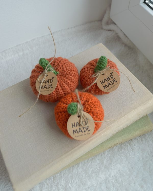 Kõrvitsate komplekt oranžid 3tk | 4 - Image 2