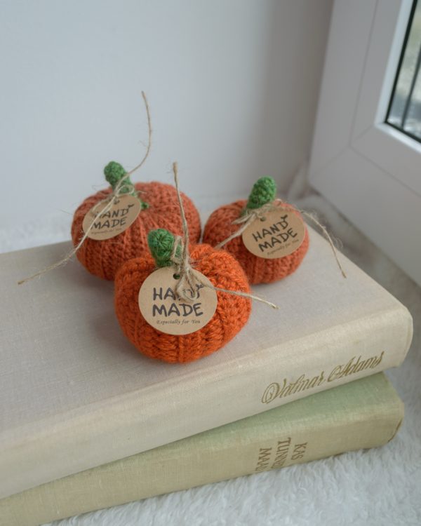 Kõrvitsate komplekt oranžid 3tk | 4