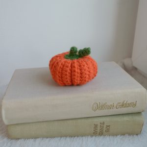 Kõrvits oranž väike