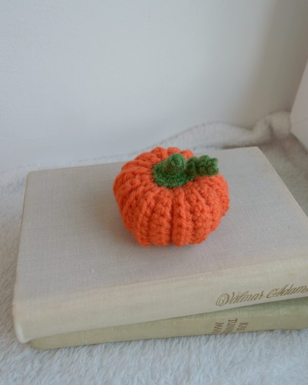 Kõrvits oranž väike - Image 2