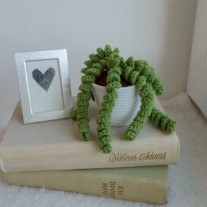 Roheline taim potis, urusaba / Burro's tail